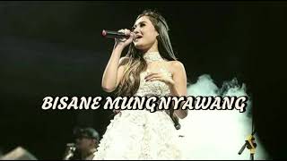Download lagu NELLA KHARISMA BISANE MUNG NYAWANG // BISANE MUNG NYAWANG NELLA KHARISMA MP3 TANPA IKLAN mp3