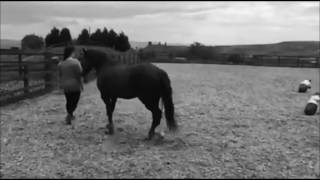 faith and dylan june 2017