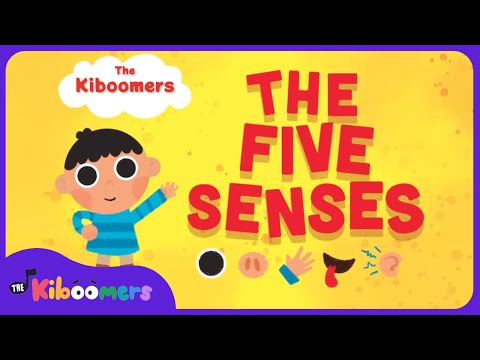 Five Senses Song | Song for Kids | The Kiboomers