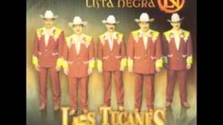 los tucanes de tijuana quisimos calar la tierra con acordion.wmv