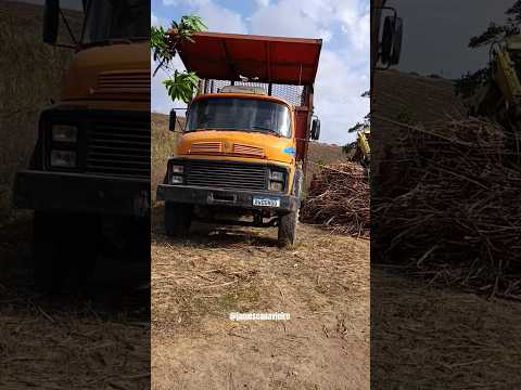 CARREGAMENTO NO SÍTIO COQUEIRO ZONA RURAL DE NOVO LINO ALAGOAS.