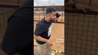 Download lagu Crazy Prank! My Original Laughing by Gianluca Marino  #funny #duet #prank #laughing #laugh #risas mp3