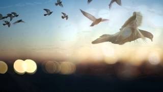 Mateo Amarei ~ Freedom (Rainy Mood Mix).