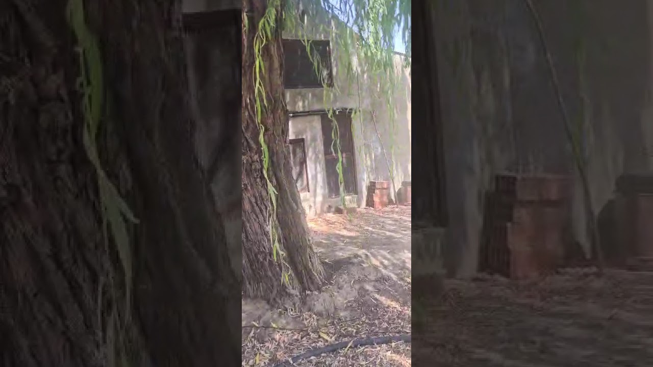 Vídeo do imóvel