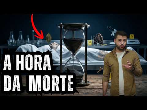 Vídeo
