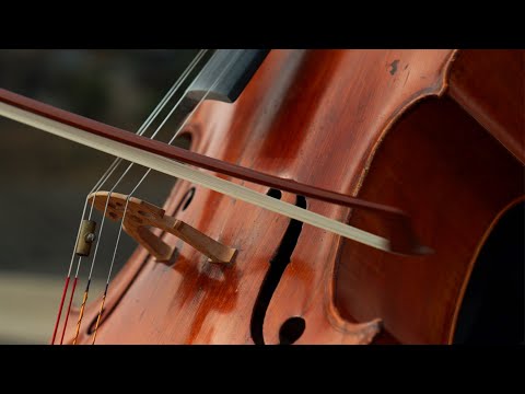 Cello Concerto no. 1 (Official Audio)