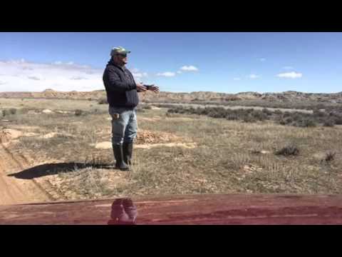 Geology with Dan: Interfingering