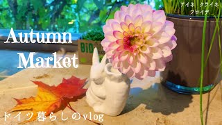 秋のマルクトで買った物🍁ちょっとお高めのキノコで作る簡単絶品クリームソース/ハロウィンのお菓子を買い出し👻