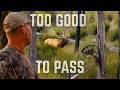 The Shot We Didn T Expect To Take Wilderness Elk Hunt