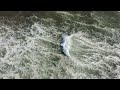 Ebb and Flow Whale Song