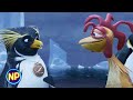 Surf S Up Chicken Joe