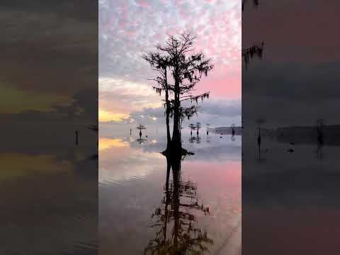 サウスカロライナ州の五大湖