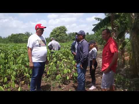 Sequía afecta producción de alimentos en #Jobabo
