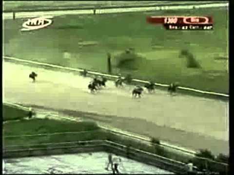 Resumen Viernes, 22 de Agosto de 2014 - Valencia