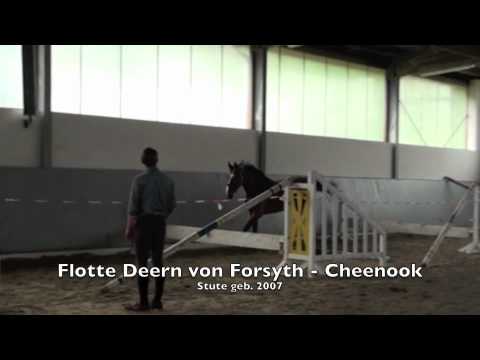 Flotte Deern von Forsyth - Cheenook 2007