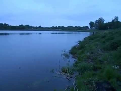 Рыбалка поплавочной удочкой