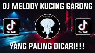 Download lagu DJ ANJAY AKU BOHONG ARAK YANG BOHONG MELODY KUCING GARONG VIRAL TIKTOK 2022 mp3