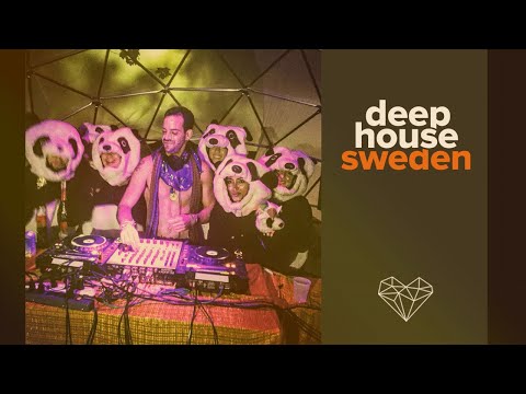 DHS Guestmix Amir Telem (Deeper Purpose)