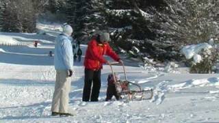 preview picture of video 'Camping Bannwaldsee in Schwangau (Wintercamping)'