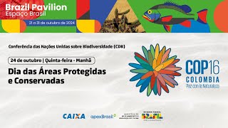 Espaço Brasil COP 16 — 24/10 — Manhã: Áreas Protegidas e Conservadas