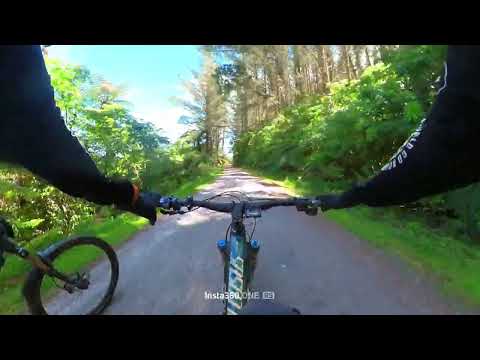 End of Kung Fu walrus Trail Rotorua NZ