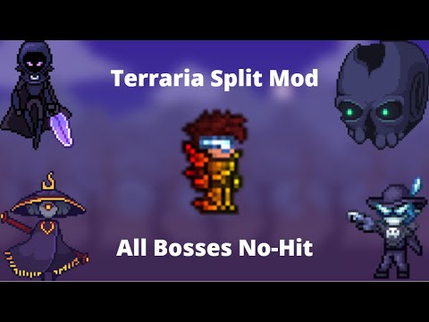 Terraria Modded || Split Mod All Bosses No-Hit