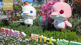 Avión chino C919 llamado "Hermosa Área de la Bahía" hace su debut en los XV Juegos Nacionales