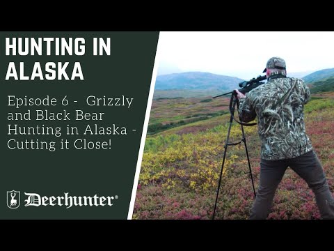 chasse en Alaska