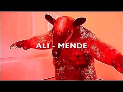 XXUwe - FRANKEN ANIMALS 24