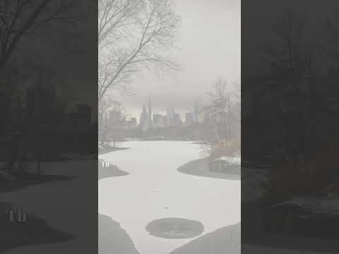 What Is the Polar Vortex? Understanding Its Role in Extreme Winter Weather #PolarVortex #Winter