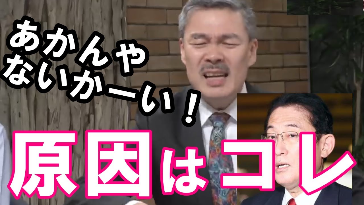 【藤井聡】原因はコレ　消○税。あかんやないかーい！