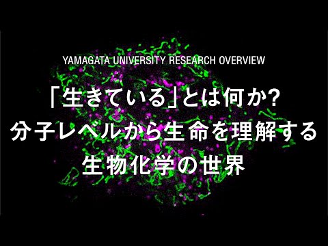 【山形大学】研究紹介2023：田村康（理学部担当）