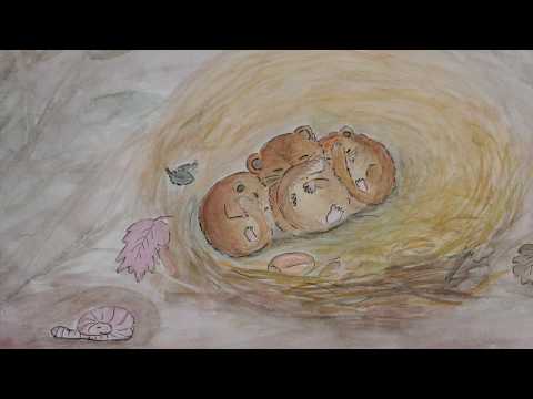 Die Haselmaus -  Ensemble Confettissimo 2019