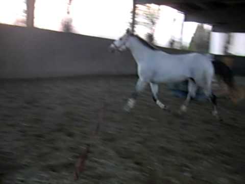 Trotto alla corda in capezza 2