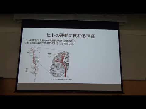 福島県立医科大学 保健科学部オープンキャンパス2023 理学療法学科　模擬授業1