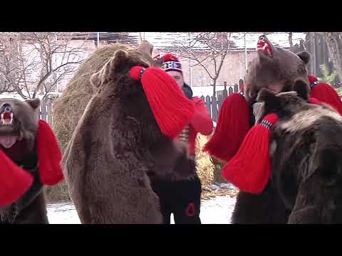 Ursii de la Cununa asauanilor - instructor Alex Gherasim