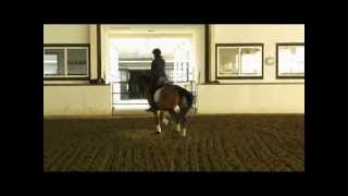 Living under pressure.wmv