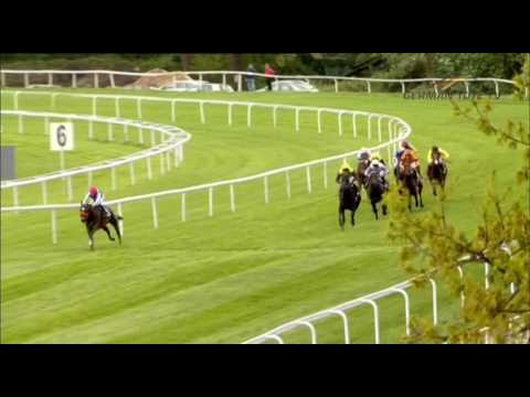 Schwarzgold Rennen 2017 Gruppe 3