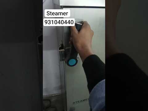 Momo Steamer