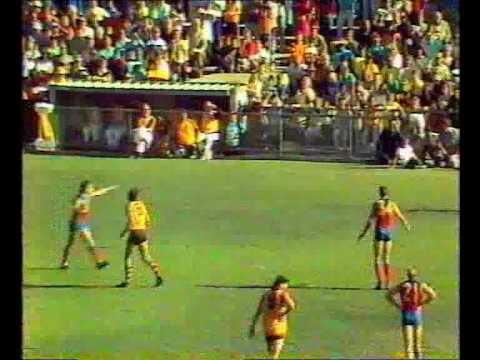 VFL Football R4 1988 - Hawthorn v Fitzroy