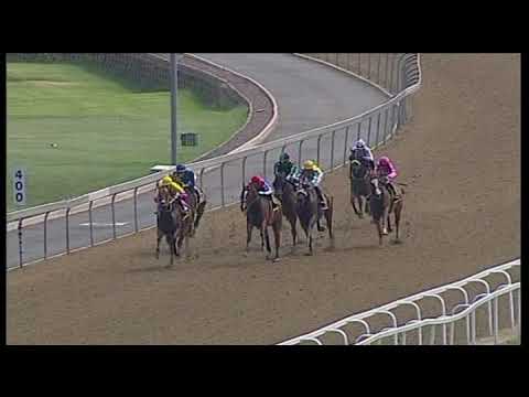 20190101 Greyville express clip Race 6 won by GORGEOUS GUEST