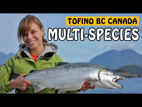 download lagu mp3 mp4 Tofino Fishing Charters, download lagu Tofino Fishing Charters gratis, unduh video klip Tofino Fishing Charters