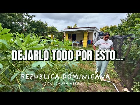 De Estados Unidos al campo dominicano 🌴 | Mi nueva vida en la República Dominicana
