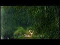 ️Rim Jhim Ye  sawan Phir Barsate Le Aya Hai Jubin Nautiyal Lyrics WhatsApp Status ️
