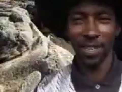 SAM KINUTHIA    WANGARI WA MAITU till numba 9944553