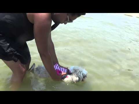 NaturallyCreole's Girls Beach Day | VLOG