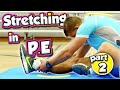 STRETCHING LEARNING Muscles In The Body For PE Part 2