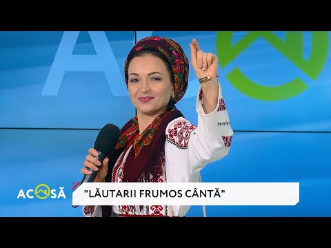 Nicoleta Sava - Hanganu - Lăutarii frumos cântă (ACASĂ)