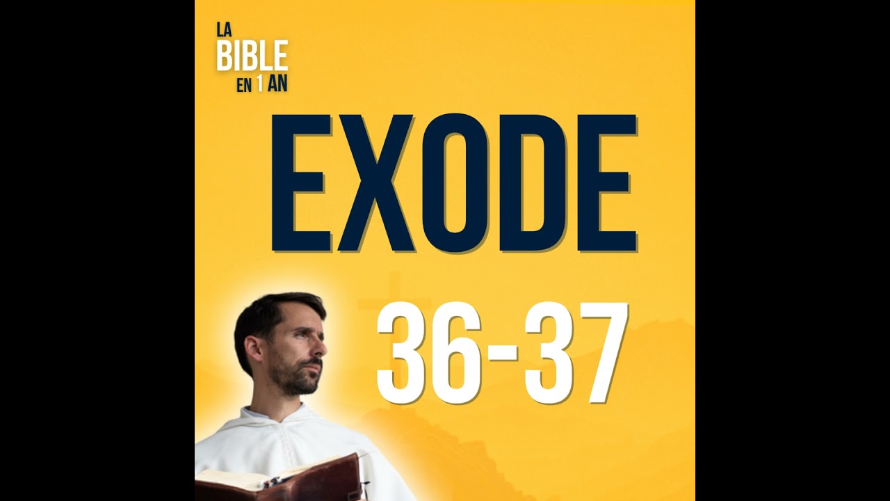 J40 - Le sanctuaire prend vie - soir ☾