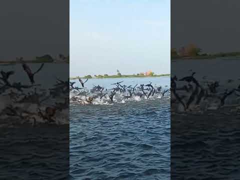 freedom of nature ♥️